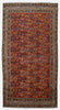 Antique Persian Malayer Rug - 5'3" x 10'