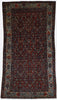 Antique Persian Malayer Rug - 6'4" x 11'1"