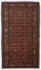 Antique Persian Malayer Rug - 5'2" x 9'6"