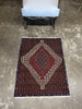 Vintage Persian Kurdish Rug - 2'4" x 3'8"